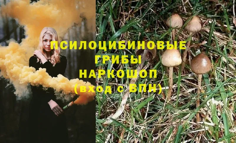 ОМГ ОМГ как войти  Красноперекопск  Псилоцибиновые грибы MAGIC MUSHROOMS 